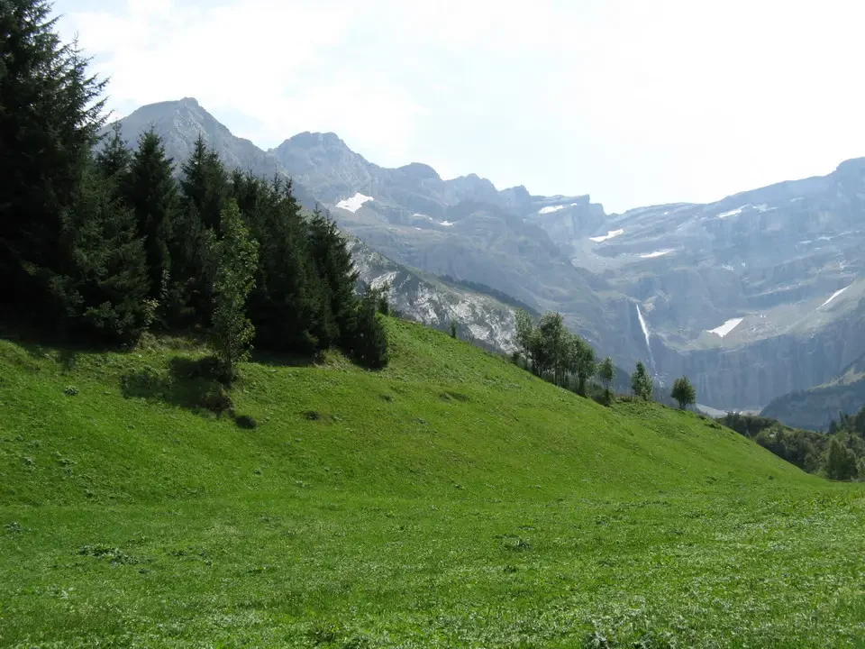 Paesaggio verde e montuoso delle Alpi durante una giornata luminosa.