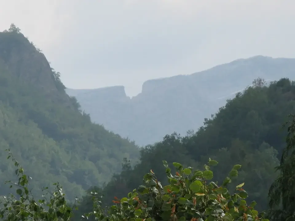 Paesaggio montano delle Alpi con valli profonde e boschi lussureggianti.