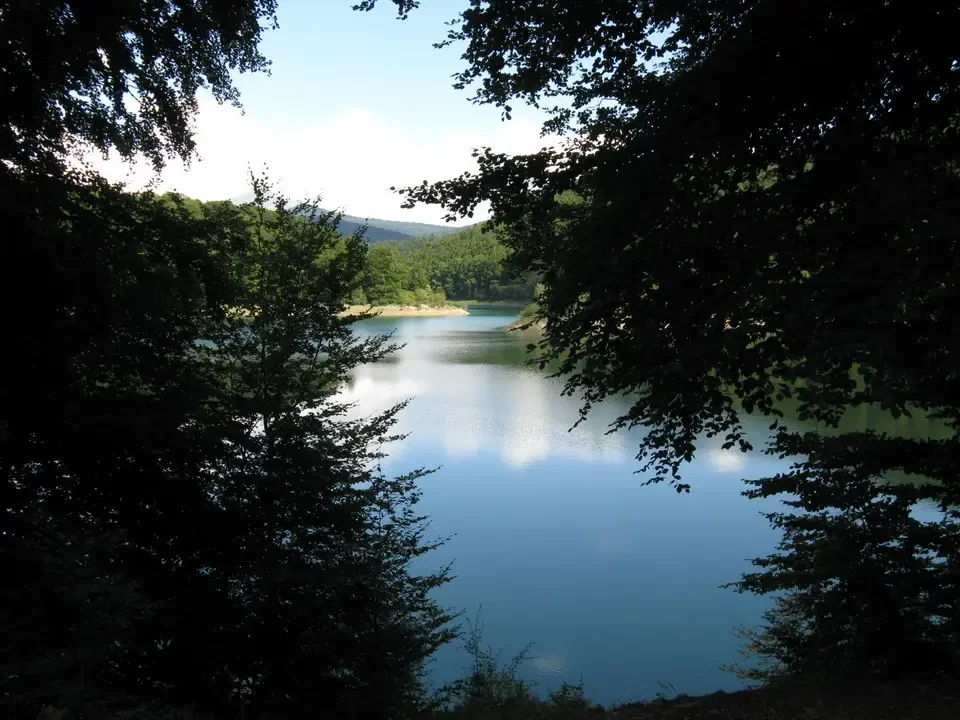 Un lago tranquillo circondato da fitta vegetazione boschiva riflette il cielo luminoso.