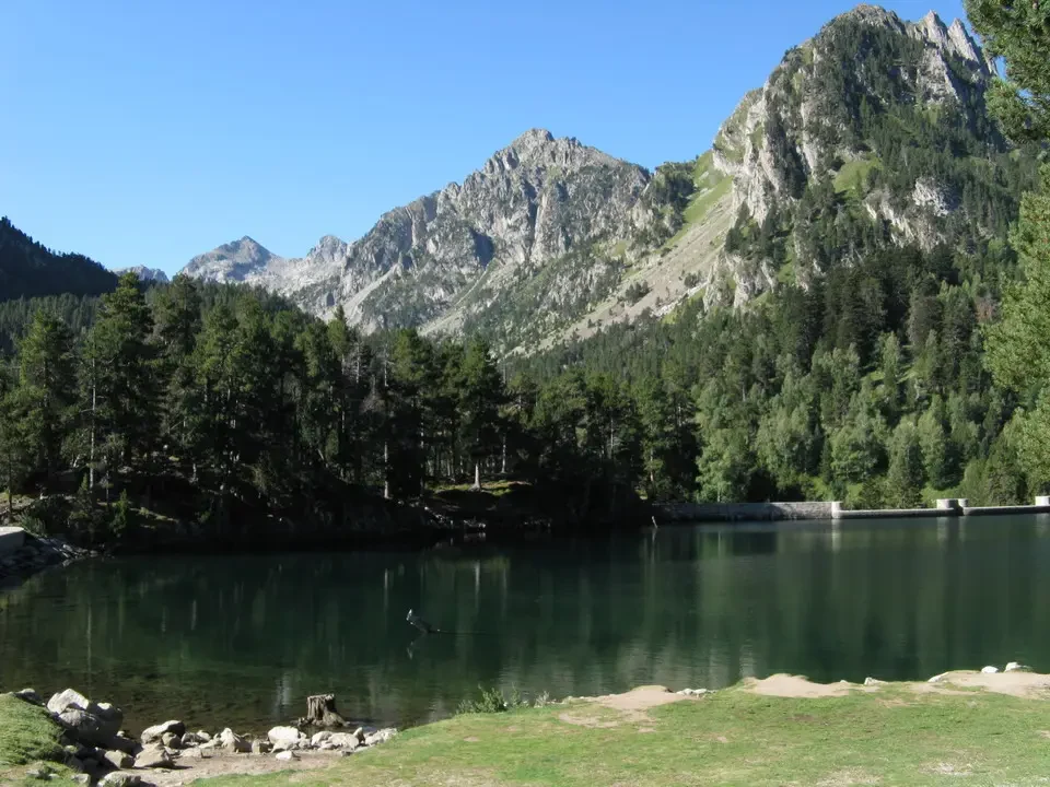 Lago alpino incorniciato da montagne rocciose e vegetazione boschiva.