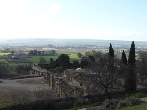 Cordoba