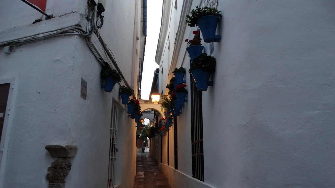 Una stretta via bianca con vasi di fiori lungo le pareti in Andalusia o Algarve.