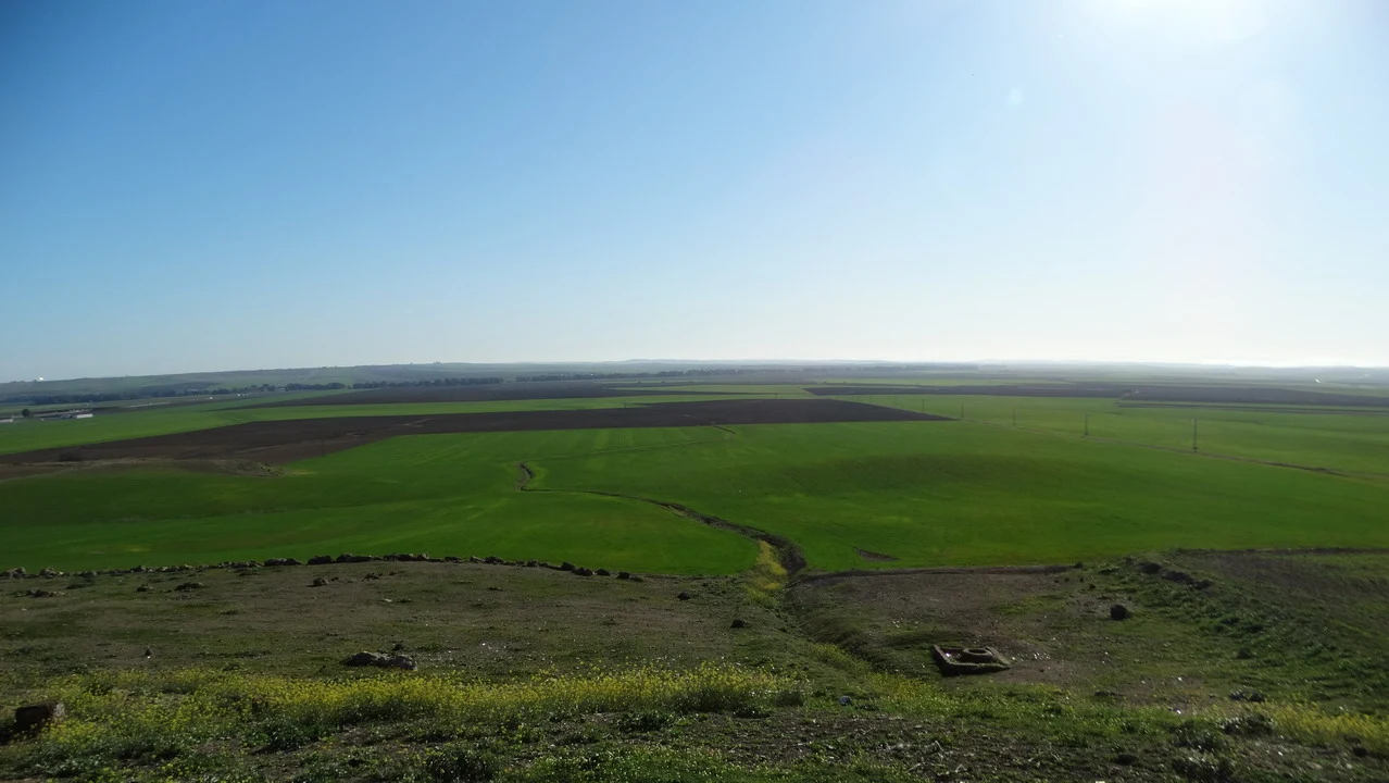 Vasta distesa di campi agricoli sotto un cielo sereno in Andalusia o Algarve.