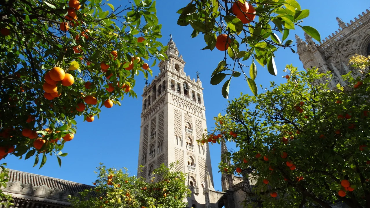 Vista dall'alto della Giralda a Siviglia con alberi fruttiferi in primo piano.