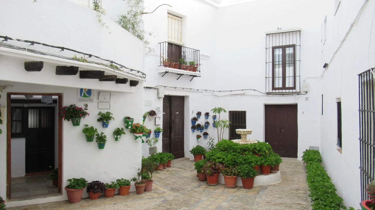 Cortile interno di una casa bianca con piante in vaso e dettagli architettonici.