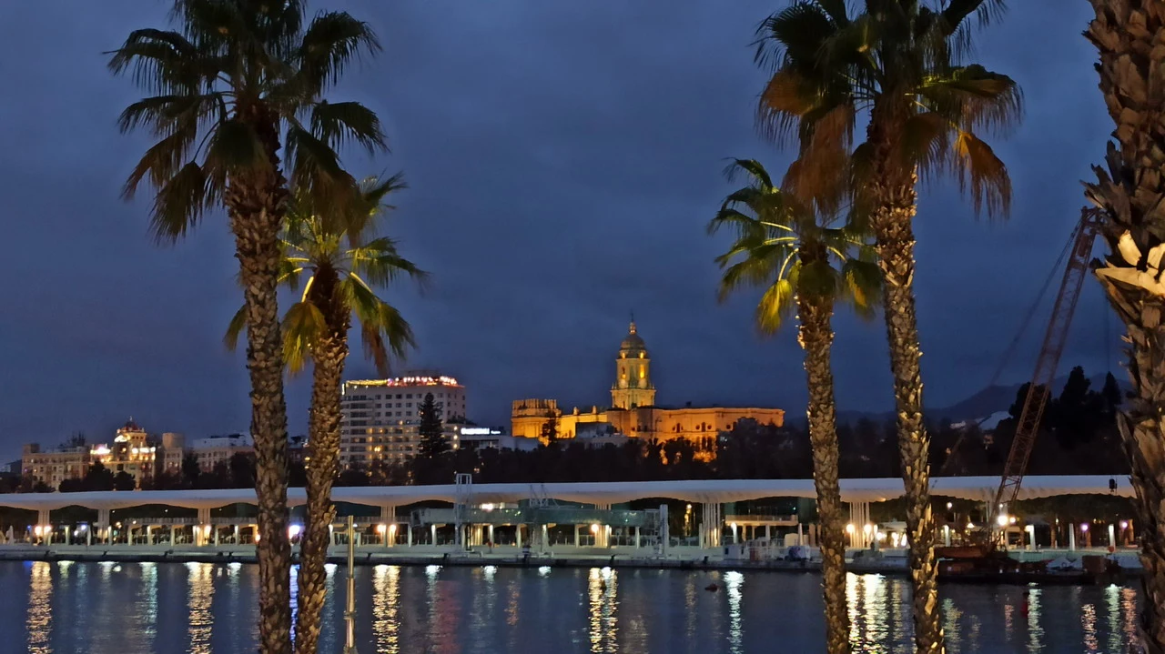 Vista notturna di un lungomare con palme e architettura storica illuminata.