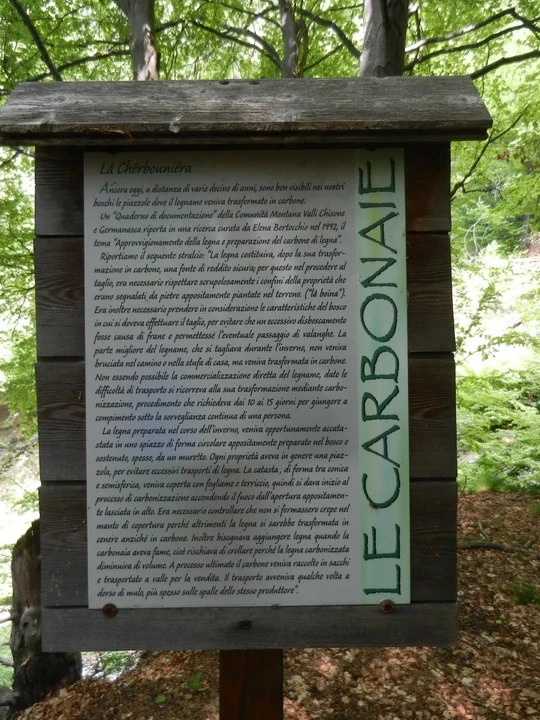 Una fila di carbonaie con alberi e vegetazione lussureggiante in primo piano.