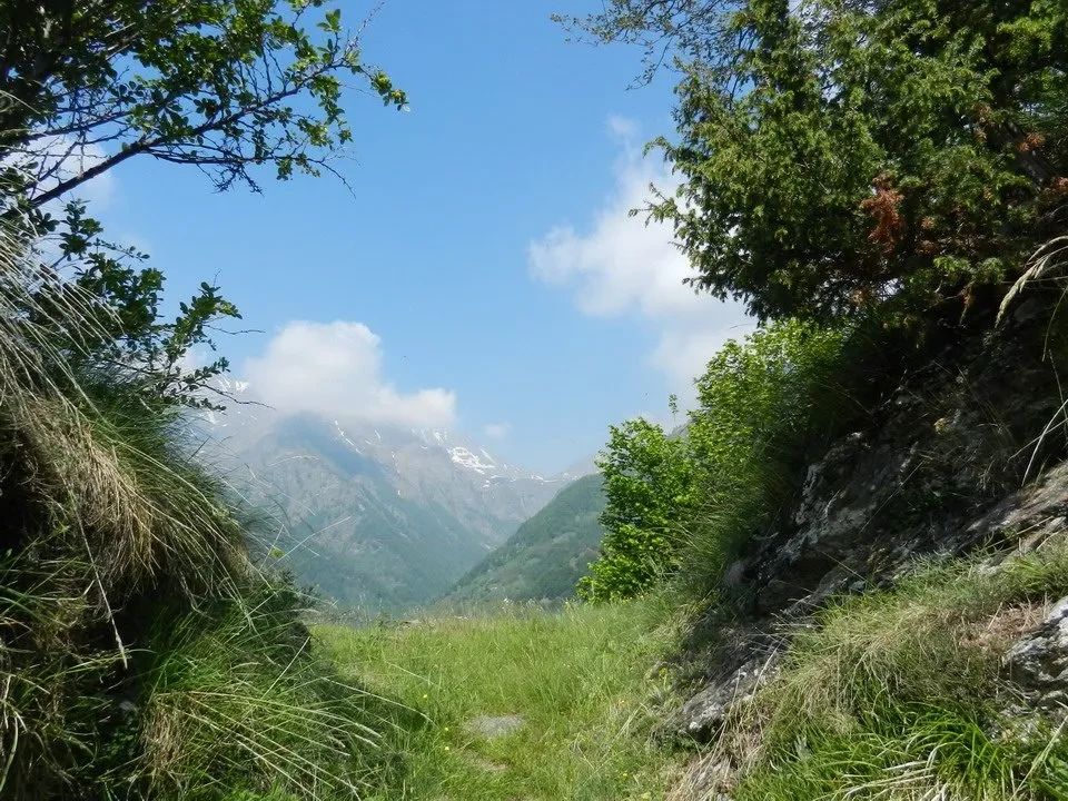 Sentiero Arturo attraverso un paesaggio montano verde e alpino.