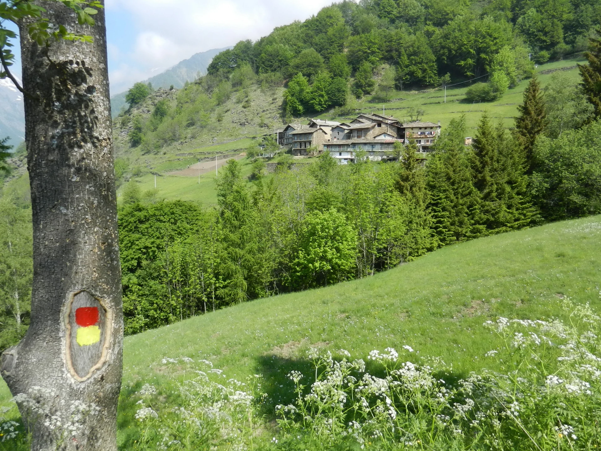 Paesaggio collinare verde con edifici rurali in lontananza.