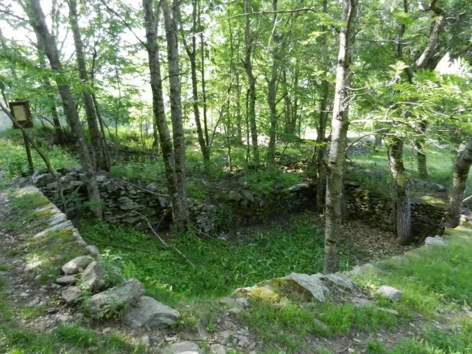 Sentiero Arturo attraverso una bosca di alberi e un muro in pietra.