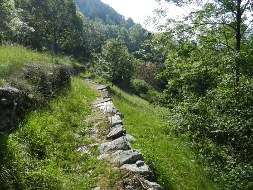 Un sentiero sterrato attraversa una valle boscosa in una zona montuosa.