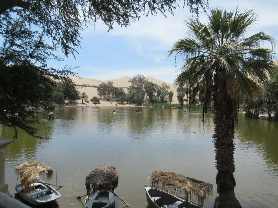 Barche con canne di bambù galleggiano su un lago in un paesaggio desertico.