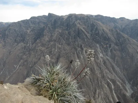 Peru e Bolivia Day 5