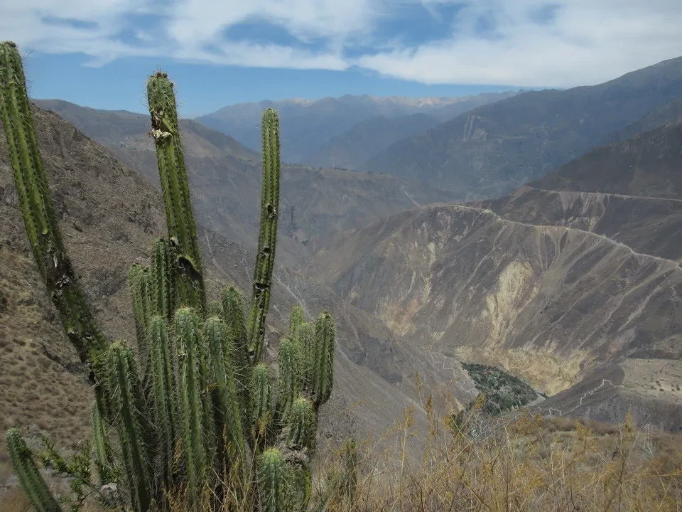 Paesaggio montano arido con cactus in primo piano in Perù e Bolivia. Paesaggio montano arido con cactus in primo piano in Perù e Bolivia.