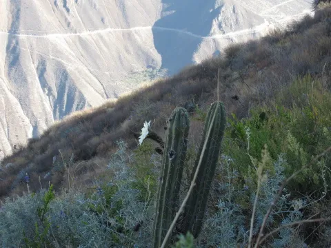 Peru e Bolivia Day 6