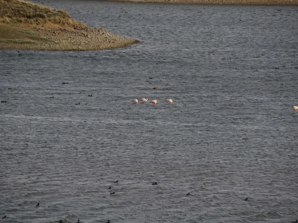 An expanse of water with some birds is visible in the foreground. An expanse of water with some birds is visible in the foreground.