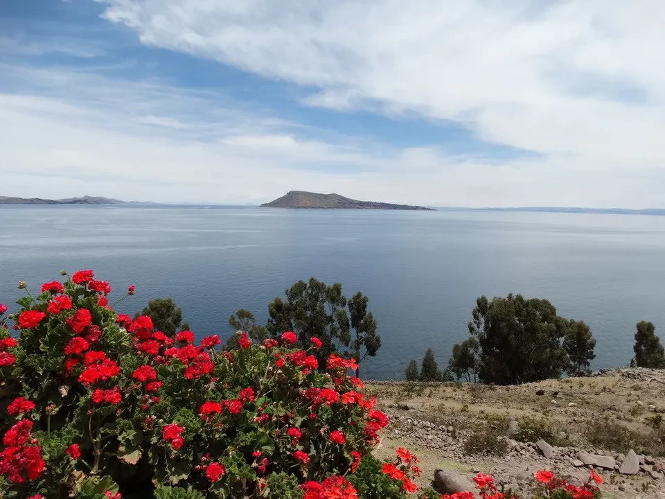Paesaggio del lago Titicaca con vegetazione rossa in primo piano.