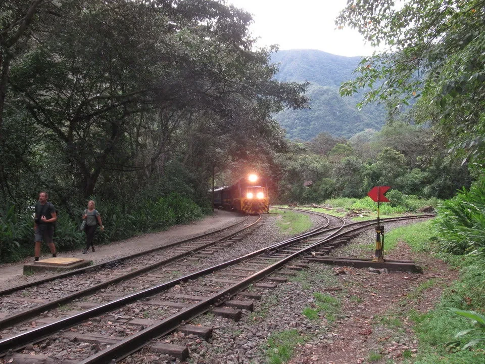 Un treno passa attraverso una linea ferroviaria boscosa in Perù o Bolivia.