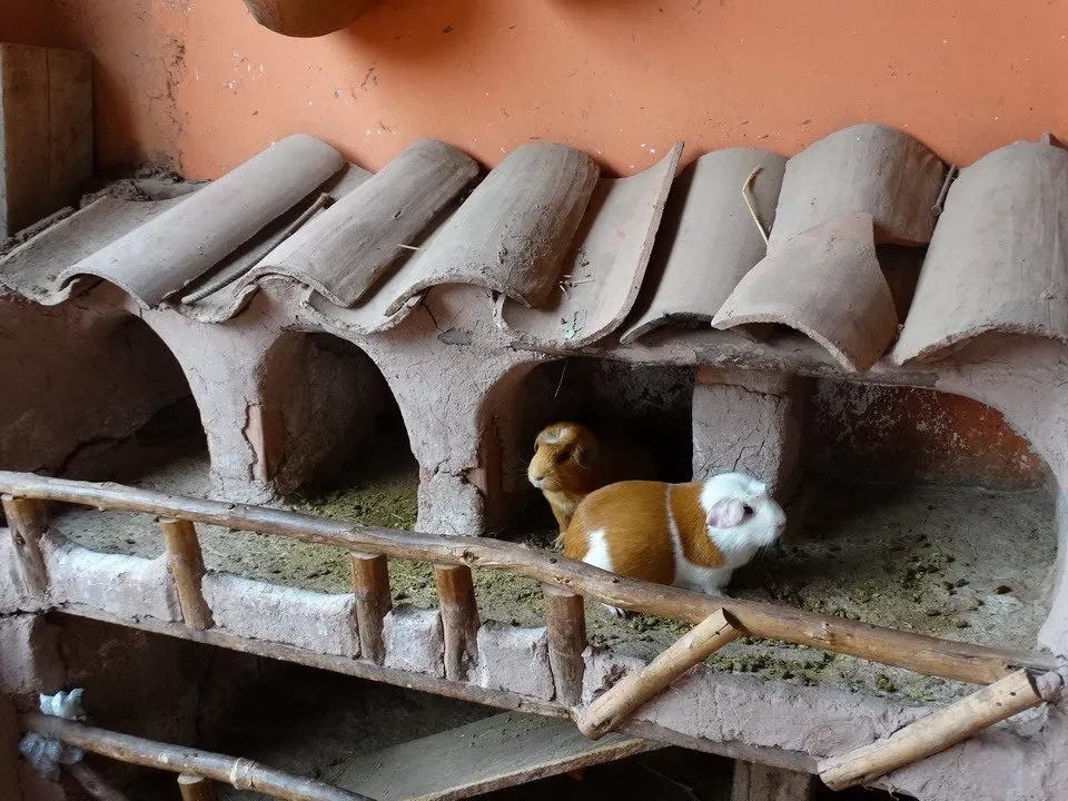 Animali in terracotta alloggiati sotto un tetto di tegole rustiche.