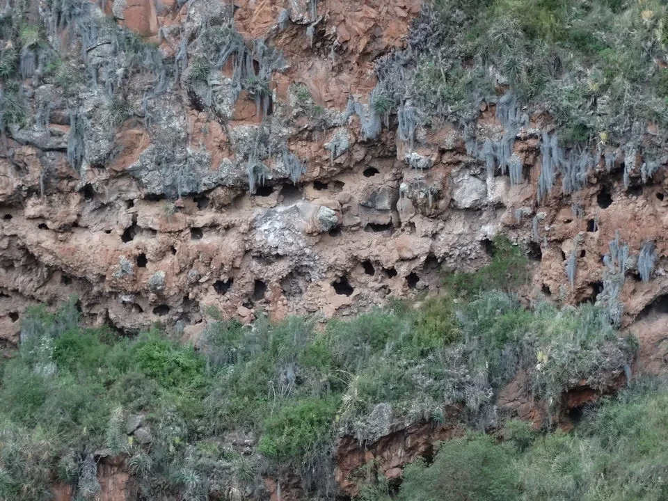 Parete rocciosa con formazioni di stalattiti in un paesaggio arido.