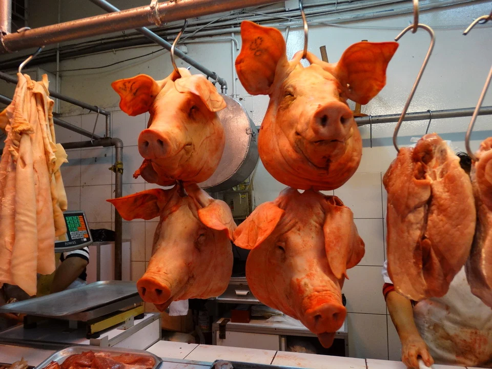 Maiali sono esposti in una macelleria in Perù o Bolivia.