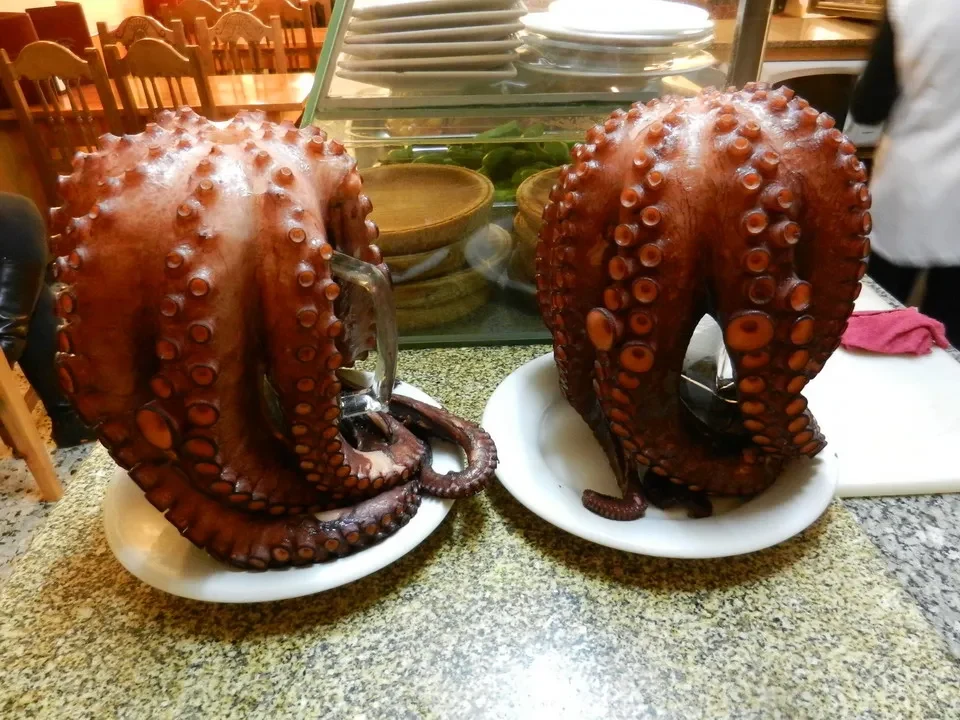 Due calamari cotti sono disposti su un tavolo in un ristorante.