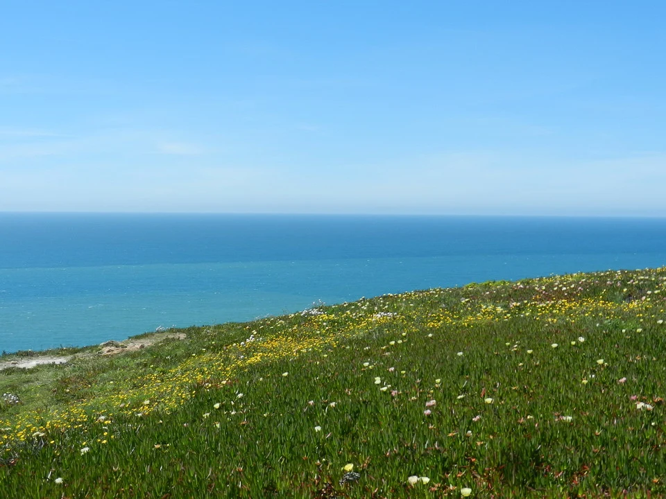 Paesaggio costiero con vegetazione verde e cielo azzurro in Portogallo.