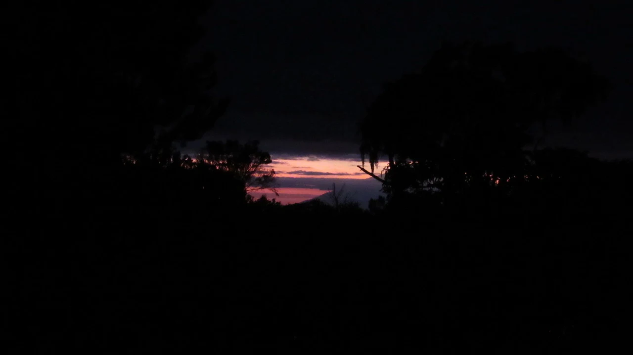 Silhouette di alberi contro un cielo al tramonto rosso. Silhouette di alberi contro un cielo al tramonto rosso.
