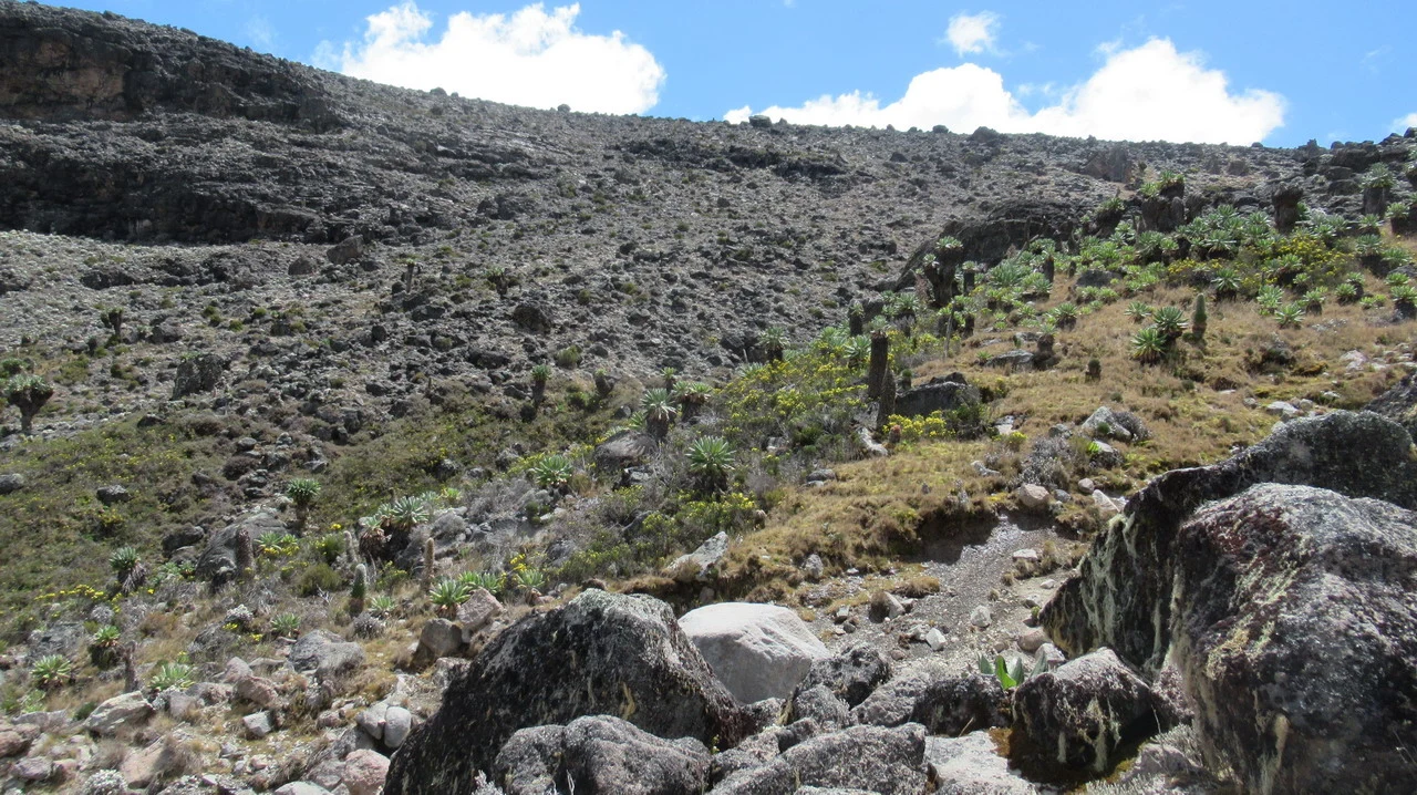 Una vista panoramica di un paesaggio roccioso e collinare in Tanzania.