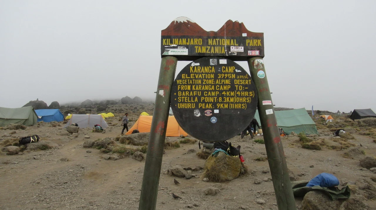 Vista panoramica del campo di Kanga nel Parco Nazionale di Kilimanjaro, Tanzania.