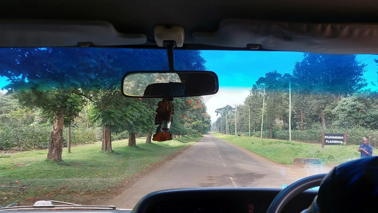 Una strada di campagna si estende davanti al veicolo in un paesaggio verde.