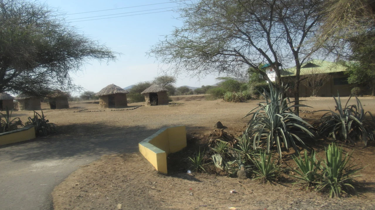 Un sentiero sterrato conduce a un campo safari in una savana africana con strutture semplici.