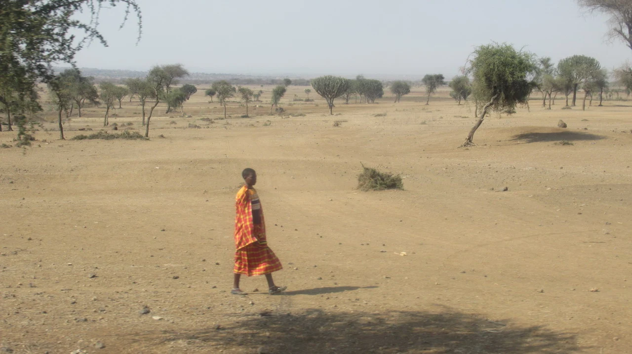 Una persona indossa un indumento colorato cammina attraverso un paesaggio secco e alberato in Tanzania.