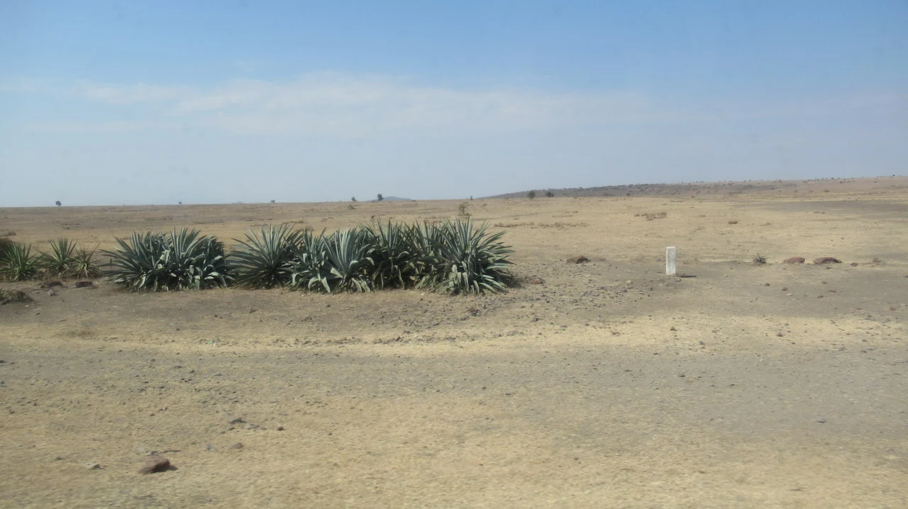 Paesaggio arido della savana in Tanzania durante una safari.