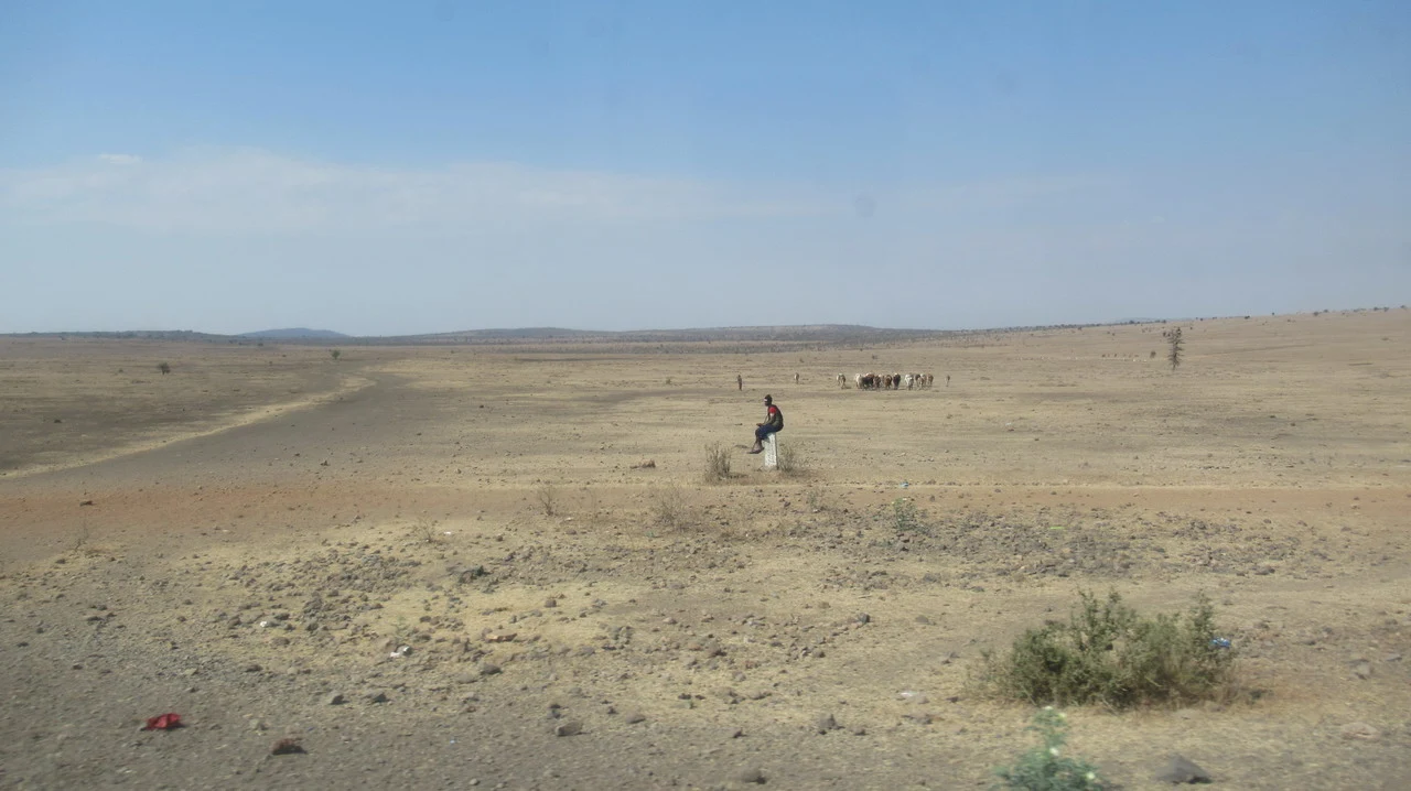 Un uomo cammina attraverso una vasta savana secca in Tanzania.