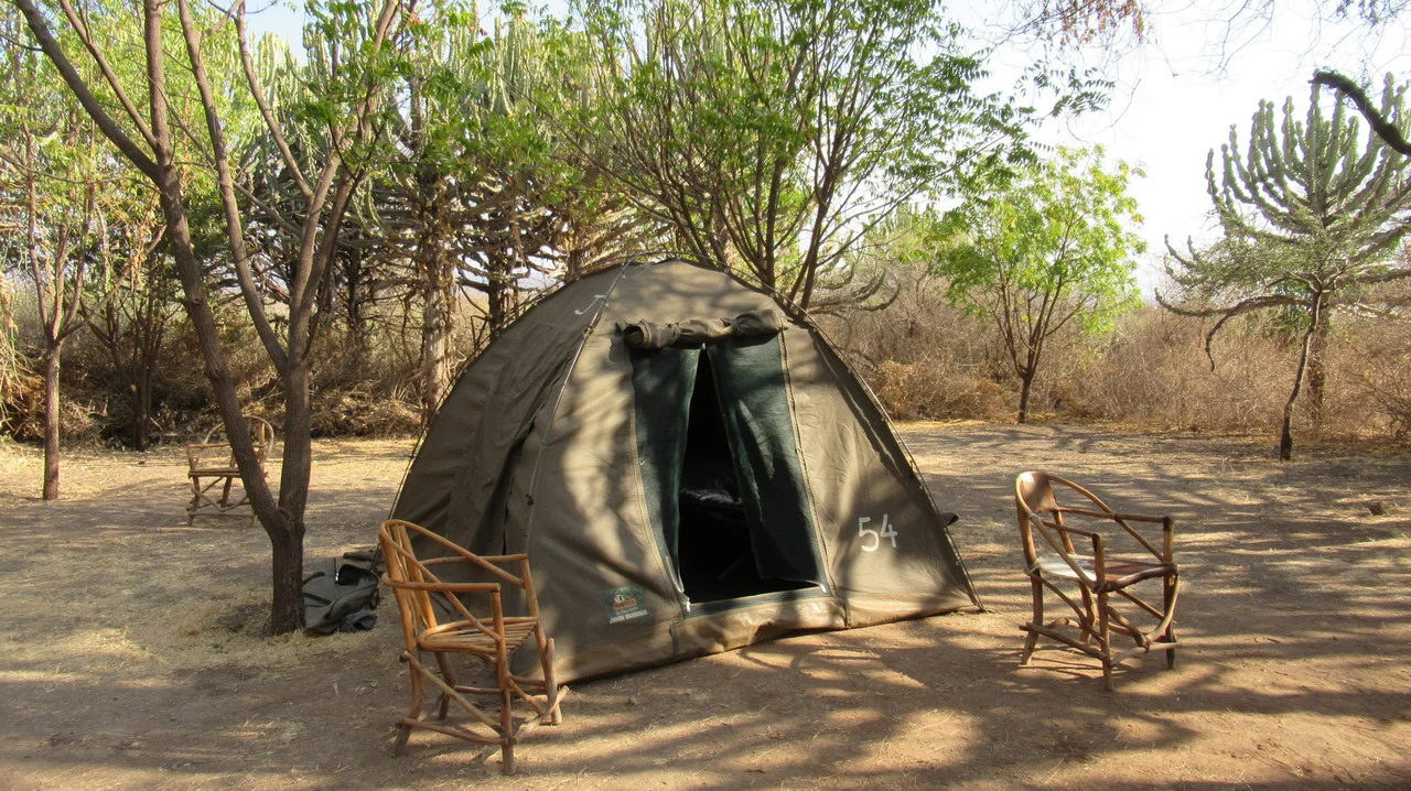 Una tenda da campo si trova in un ambiente secco e boscoso durante una safari in Tanzania.