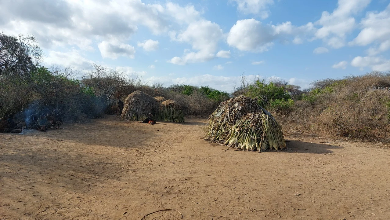 Un villaggio di Hadzbe in Tanzania mostra cumuli di legna da ardere all'aperto.
