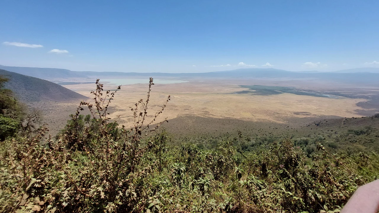 Paesaggio vasto della savana africana con orizzonte lontano sotto un cielo azzurro. Paesaggio vasto della savana africana con orizzonte lontano sotto un cielo azzurro.