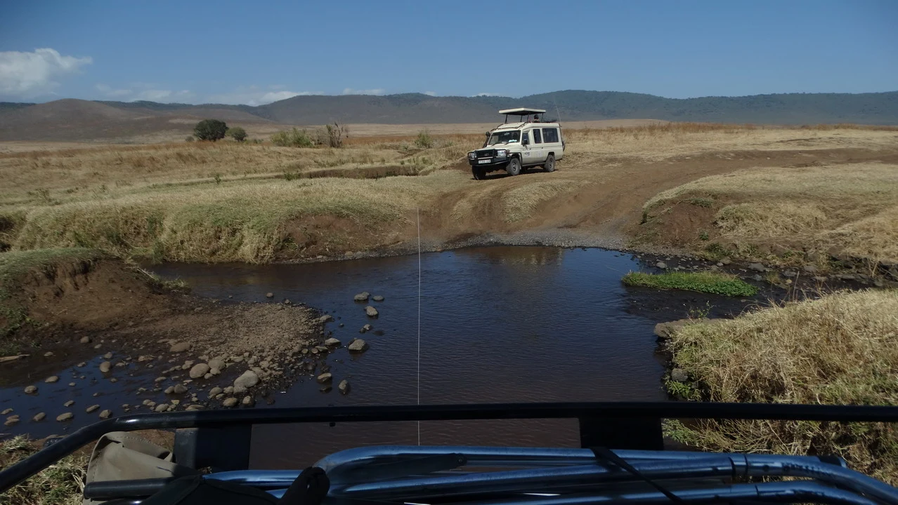 Un veicolo attraversa un fiume in una savana africana durante una safari.