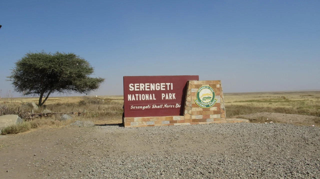 Segreteti National Park in Tanzania is visible under a clear sky.