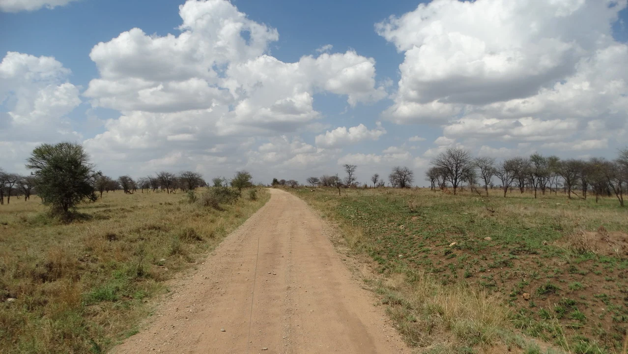 Una strada sterrata attraversa un paesaggio africano aperto sotto un cielo nuvoloso.