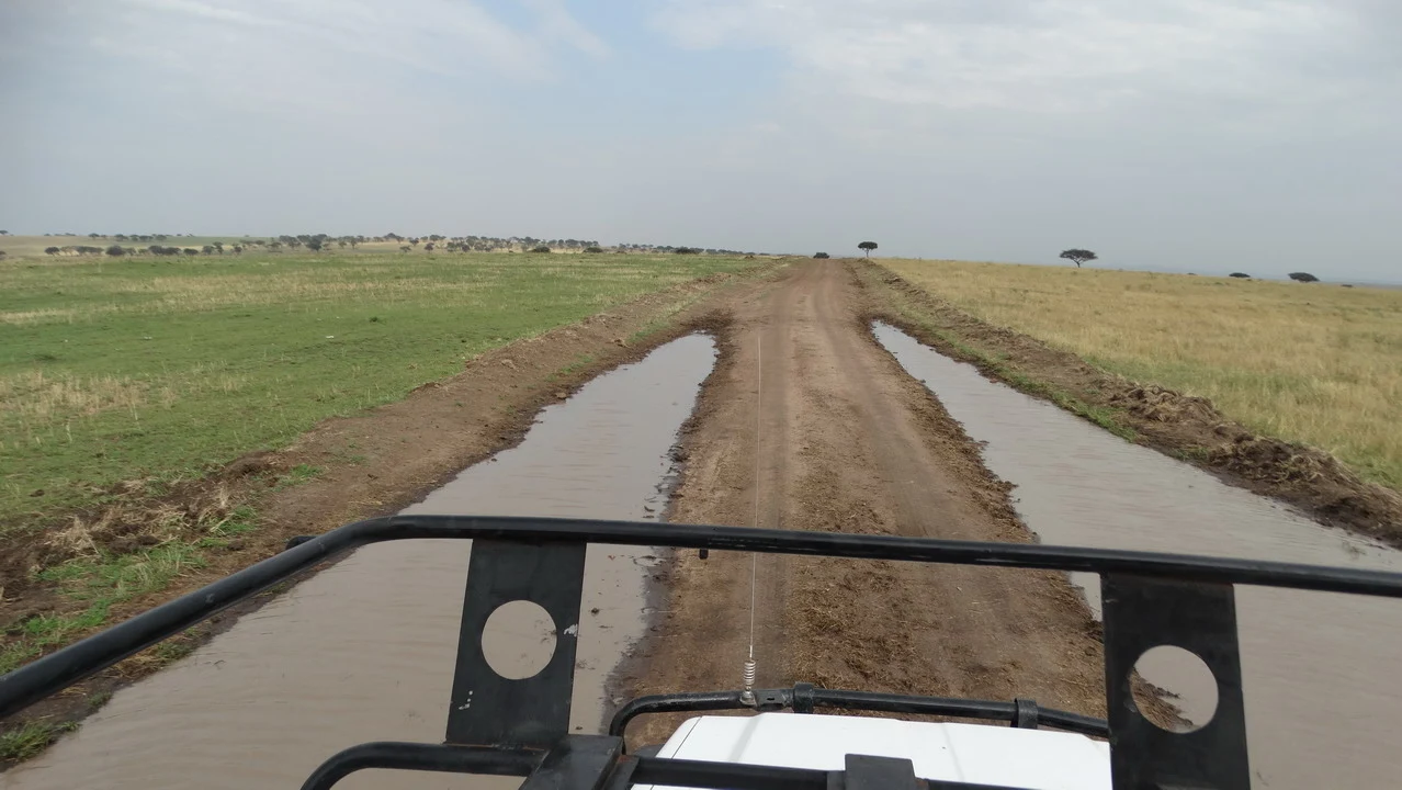 Una strada sterrata attraversa un paesaggio aperto durante una safari in Tanzania. Una strada sterrata attraversa un paesaggio aperto durante una safari in Tanzania.