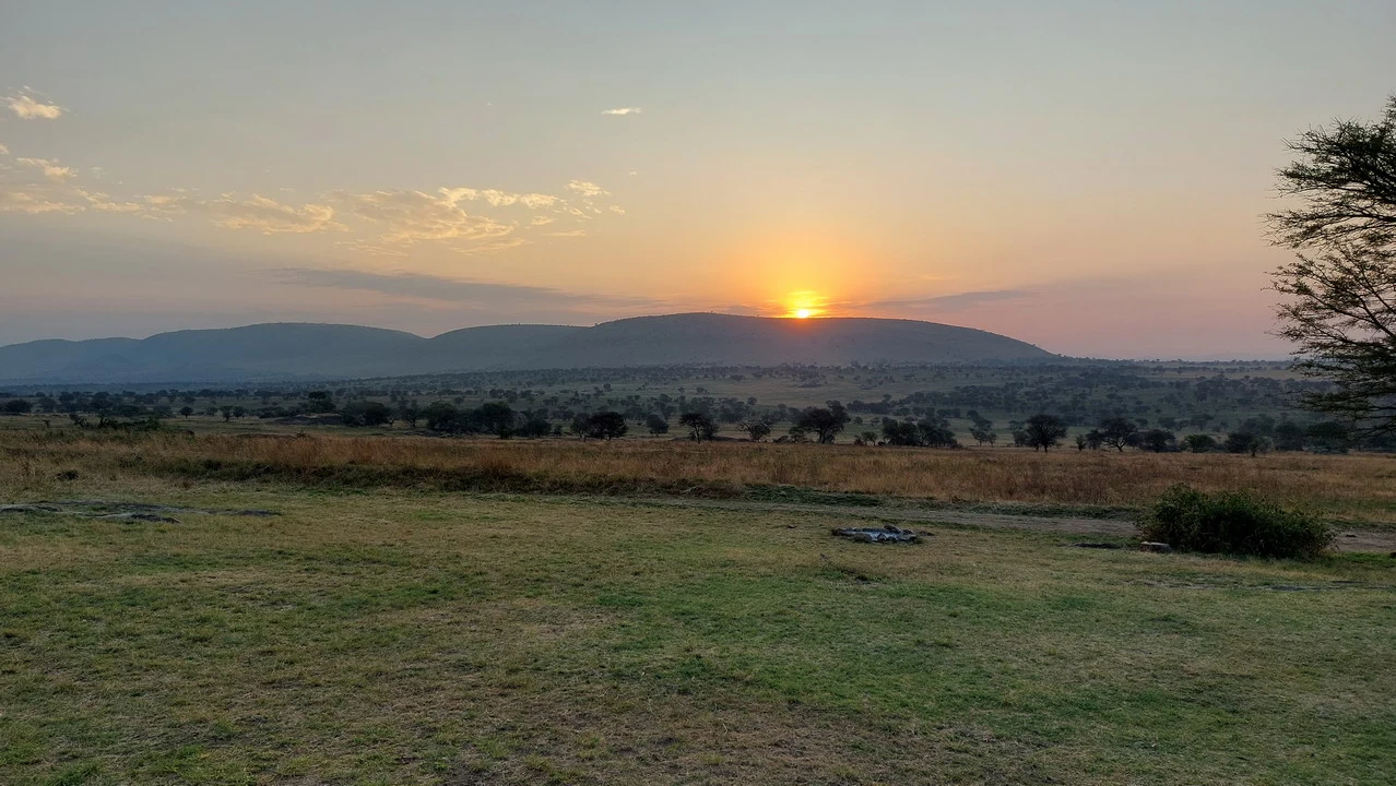 Paesaggio della savana africana al tramonto con luce dorata. Paesaggio della savana africana al tramonto con luce dorata.