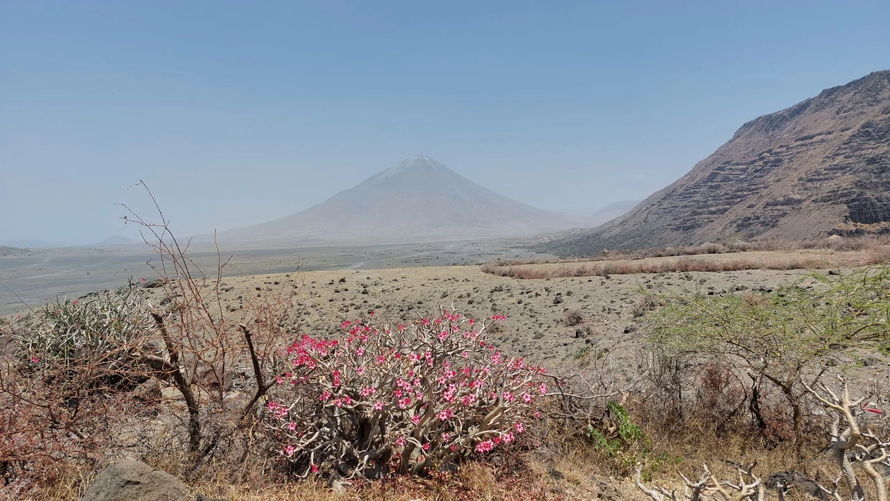 Paesaggio arido con una montagna all'orizzonte in Tanzania.