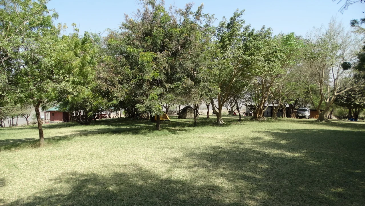 Un paesaggio verde con alberi e strutture in un accampamento di safari in Tanzania.