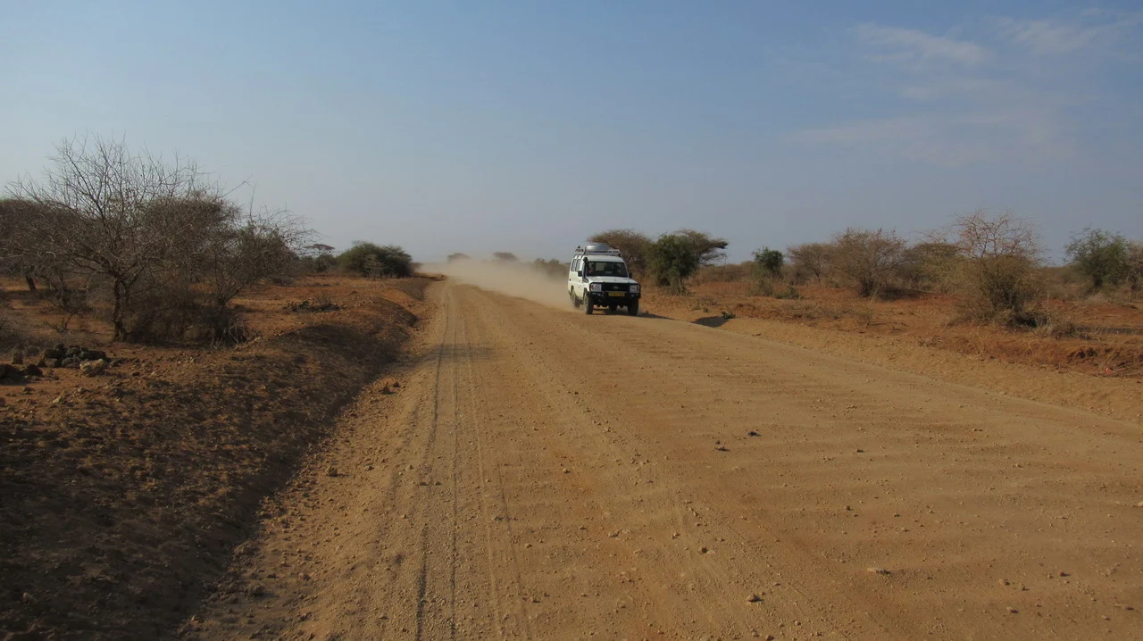 Un veicolo percorre una strada sterrata in una savana africana al tramonto.