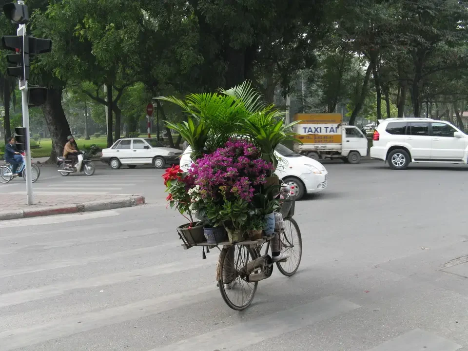 Un passeggiatore con fiori su un carretto a due ruote attraversa una strada alberata in Vietnam o Cambogia.