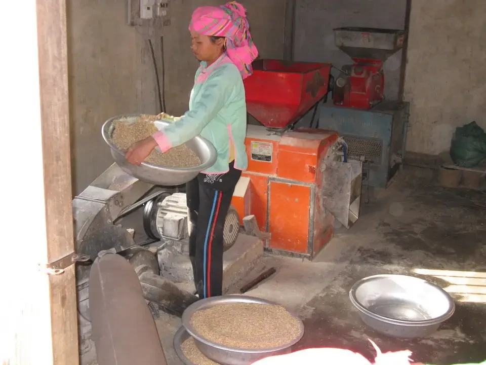 Una donna sta lavorando con la farina di riso in un ambiente di produzione.