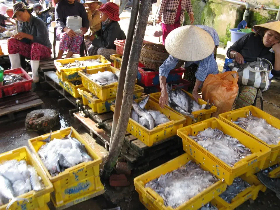 Venditori espongono grandi quantità di pesce fresco in un mercato all'aperto.