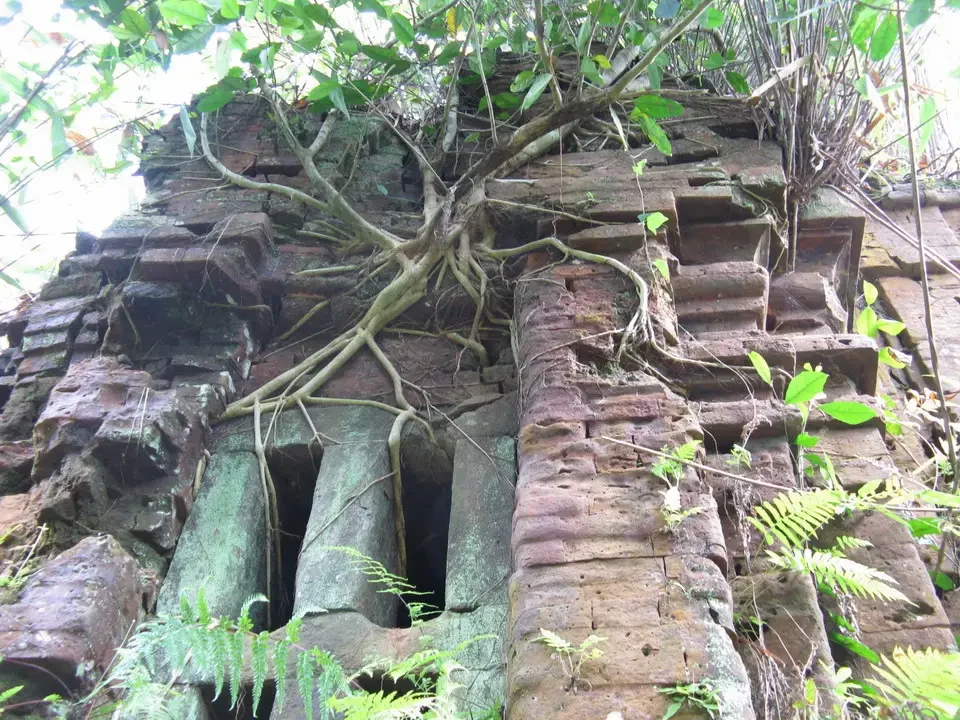 Resti di un antico tempio in pietra coperti dalla vegetazione.